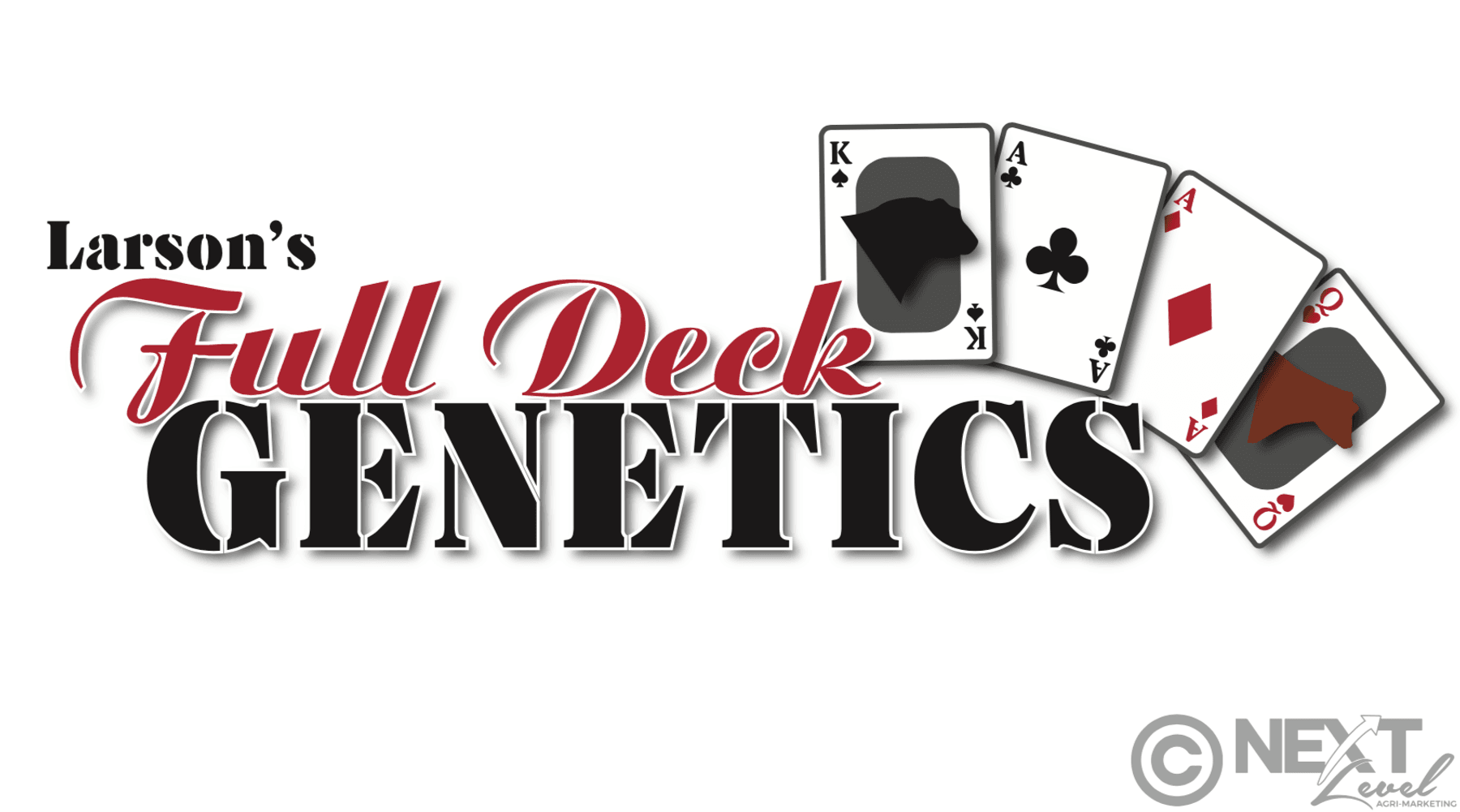 Image for ROYAL FLUSH BULL & FEMALE SALE - LARSON'S FULL DECK GENETICS - Nelson, WI