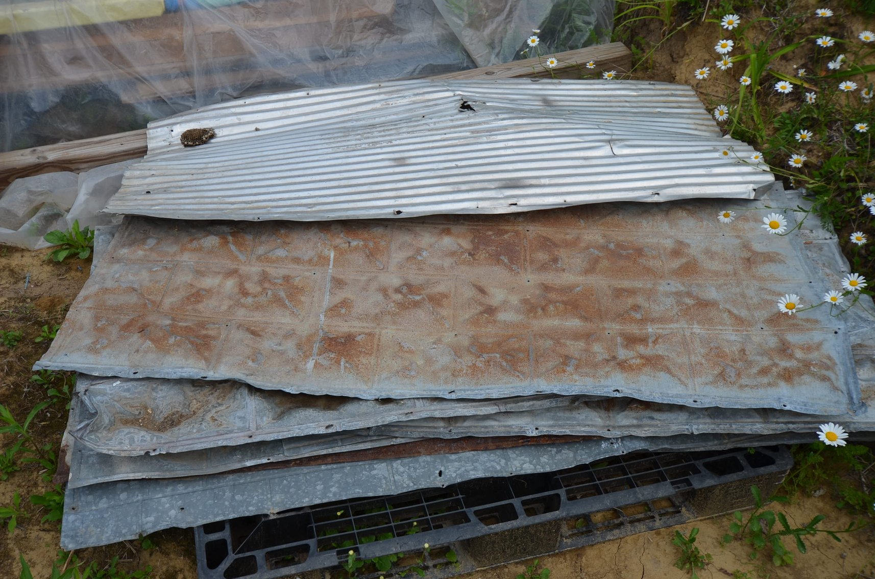 Image for TRACTORS, SHOP TOOLS, WOODWORKING TOOLS, LUMBER, FURNITURE, AND MORE - Alma, WI