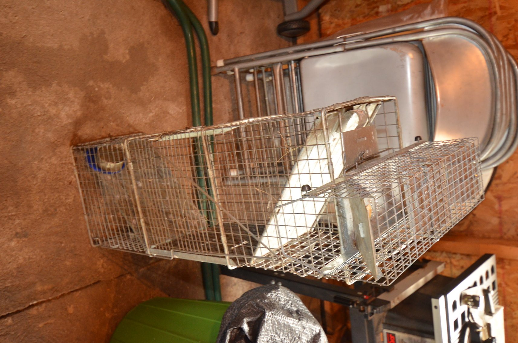 Image for LAWN MOWERS, TRAILER, LAWN&GARDEN, TOOLS, FISHING, COLLECTIBLES, AND HOUSEHOLD - Mondovi, WI (Meridean)