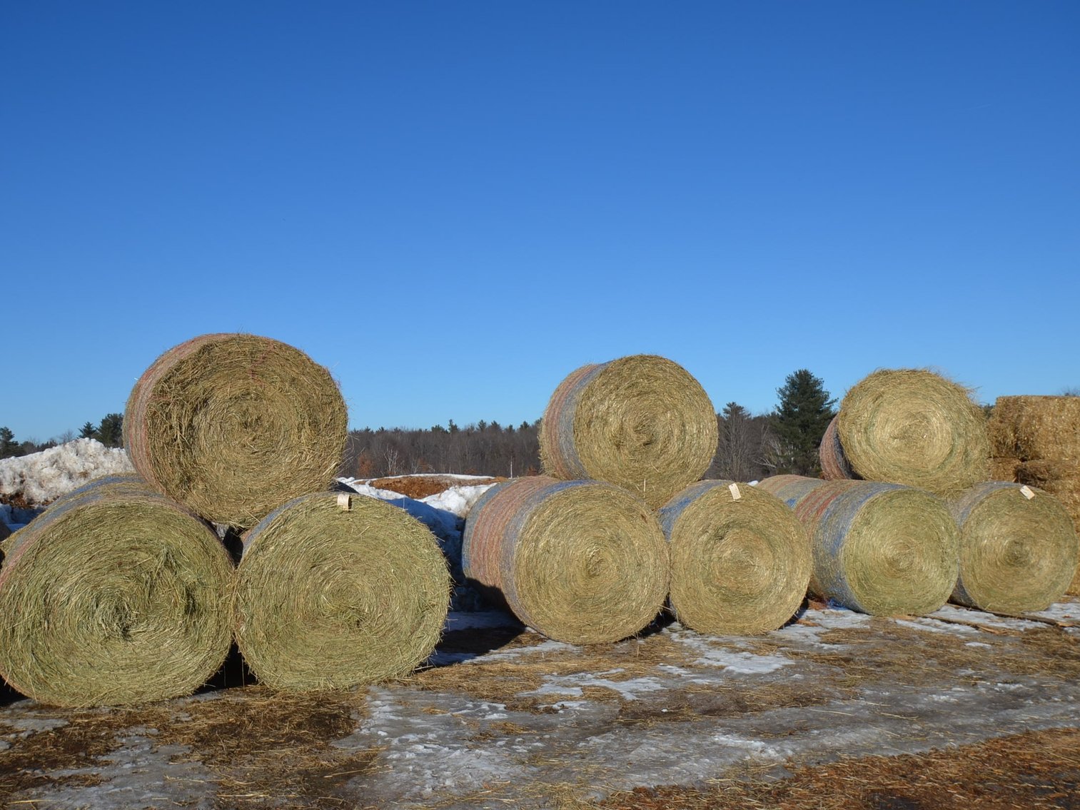 Image for LATE FEBRUARY HAY AND FIREWOOD AUCTION - Fairchild, WI
