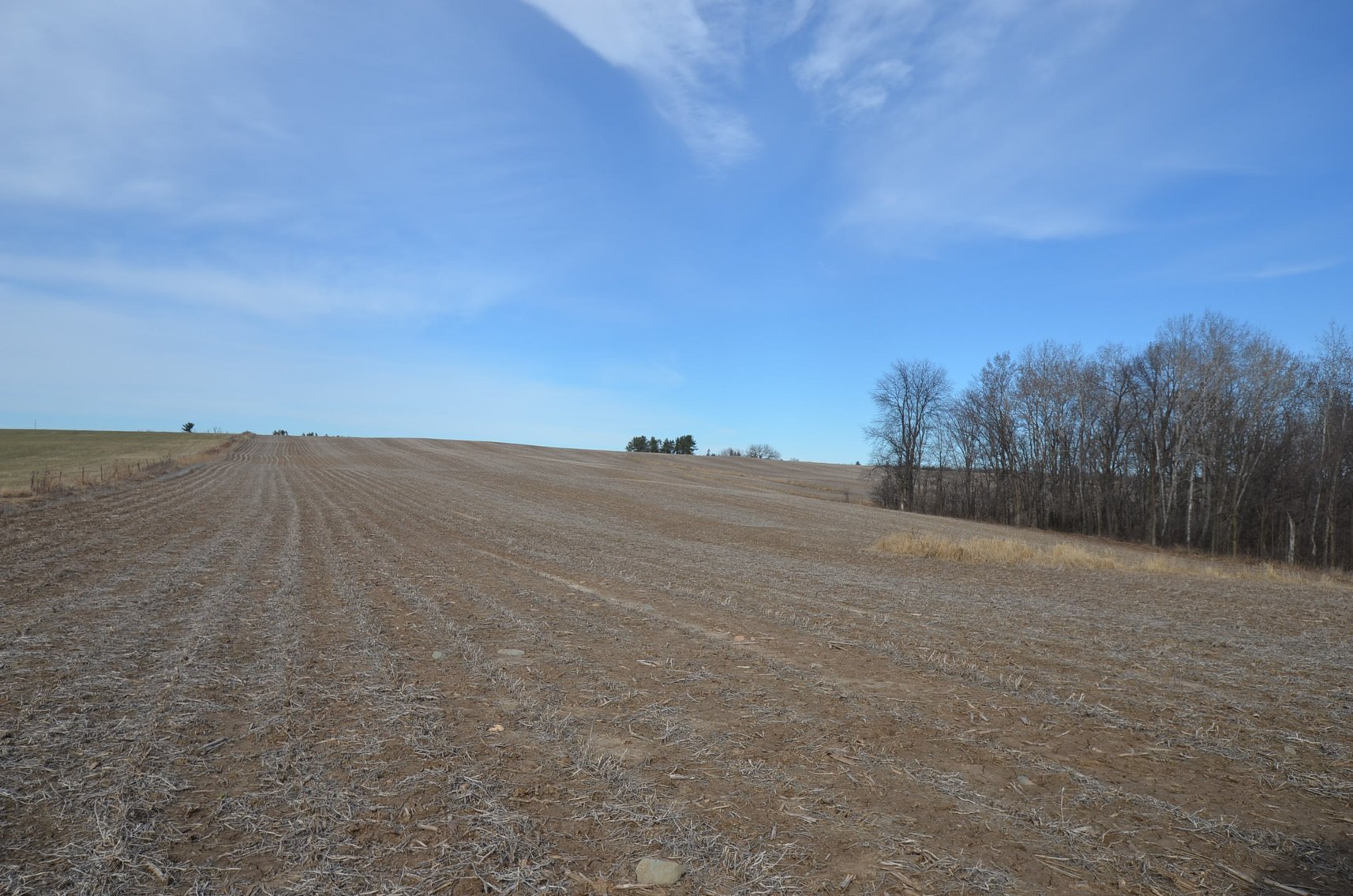 Image for 67 ACRES IN DUNN COUNTY - REAL ESTATE