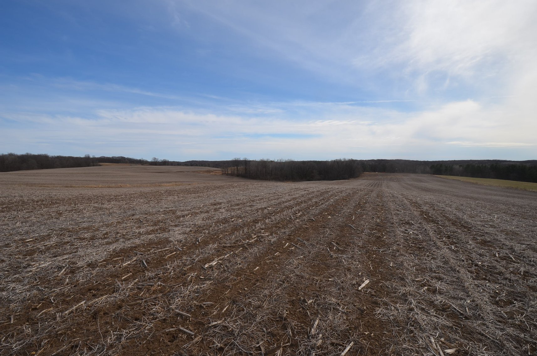 Image for 67 ACRES IN DUNN COUNTY - REAL ESTATE