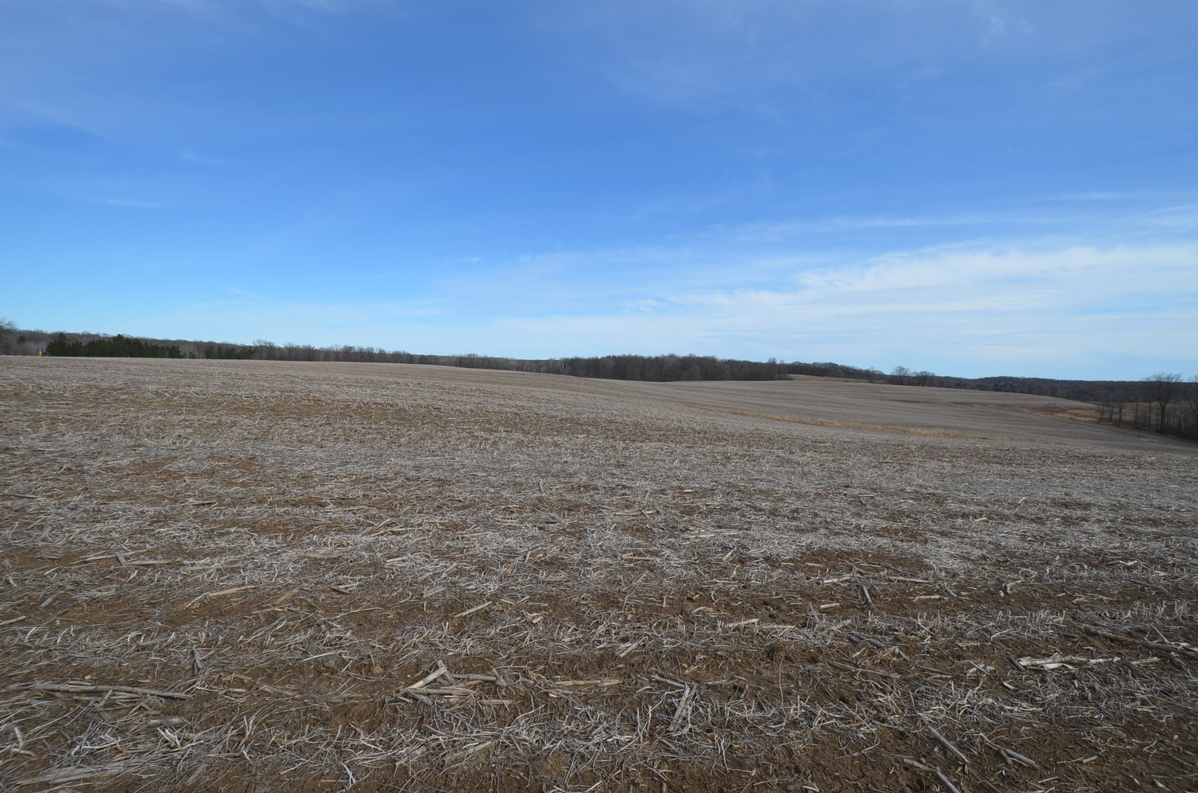 Image for 67 ACRES IN DUNN COUNTY - REAL ESTATE
