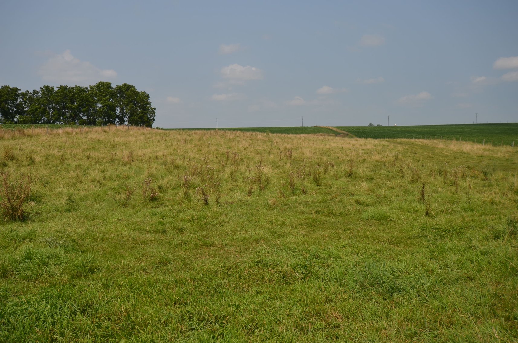 Image for 80 ACRES IN IOWA COUNTY, WI - REAL ESTATE
