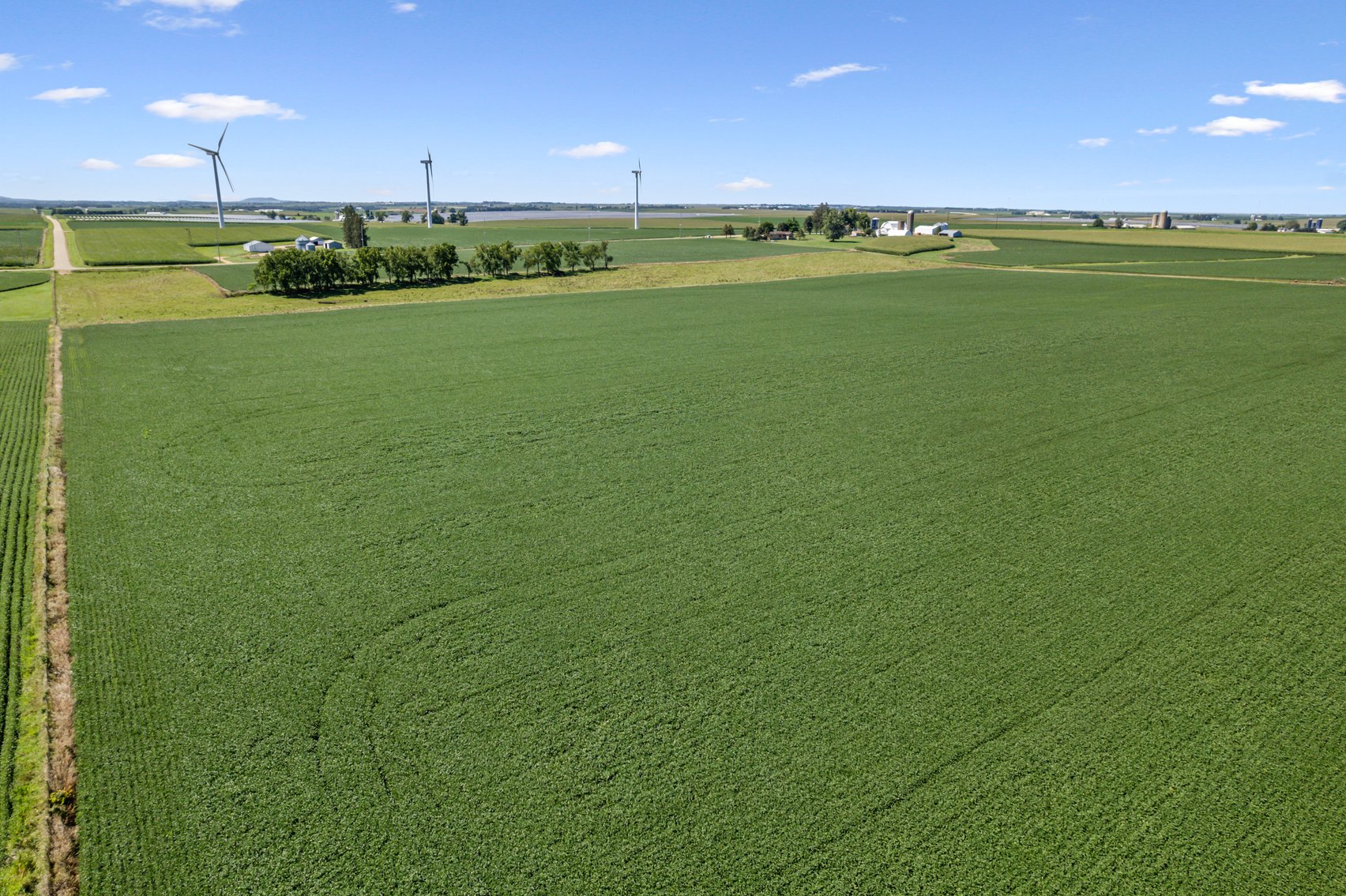 Image for 80 ACRES IN IOWA COUNTY, WI - REAL ESTATE