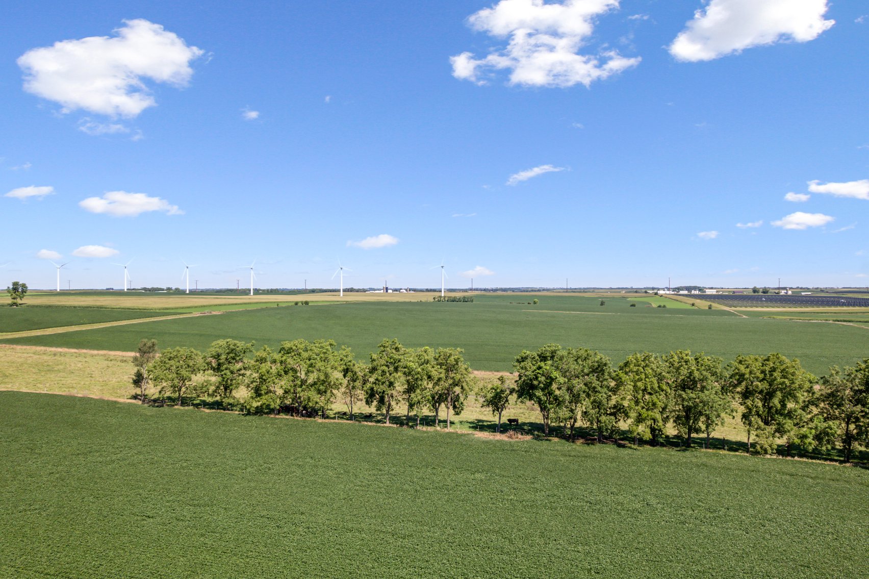 Image for 80 ACRES IN IOWA COUNTY, WI - REAL ESTATE