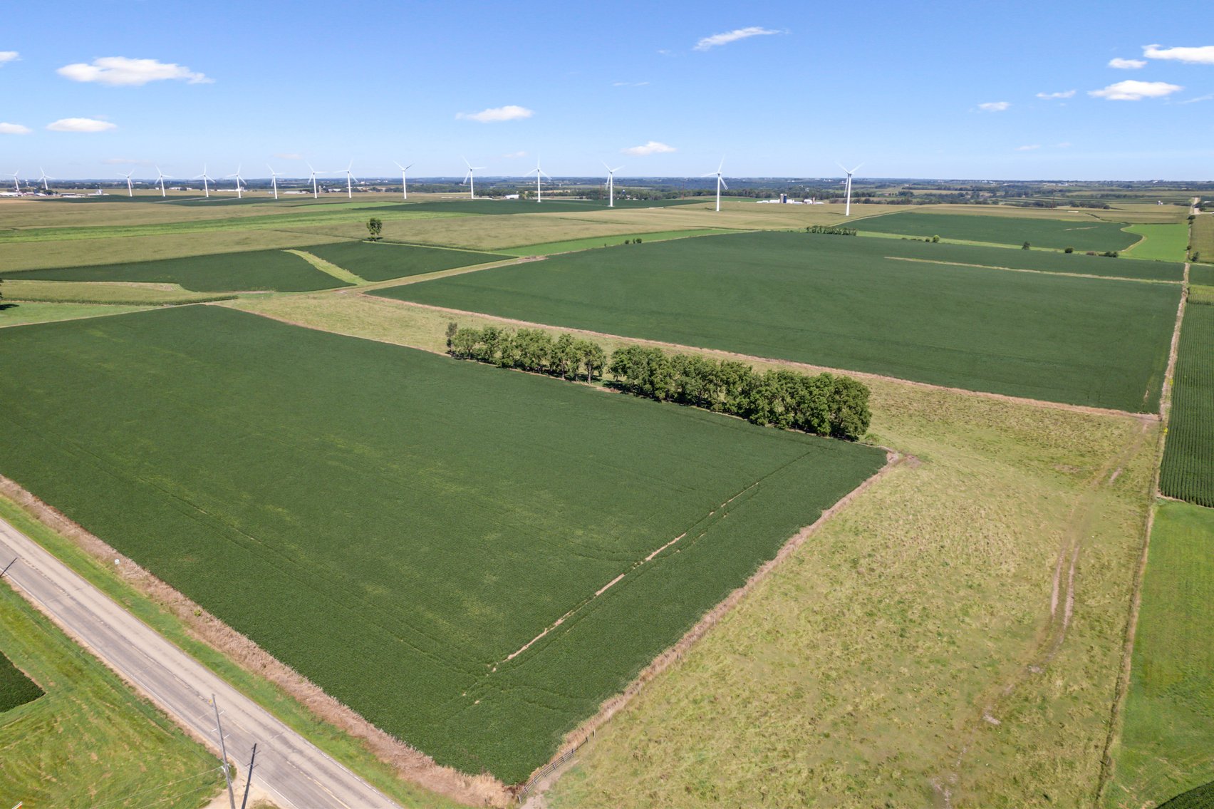 Image for 80 ACRES IN IOWA COUNTY, WI - REAL ESTATE