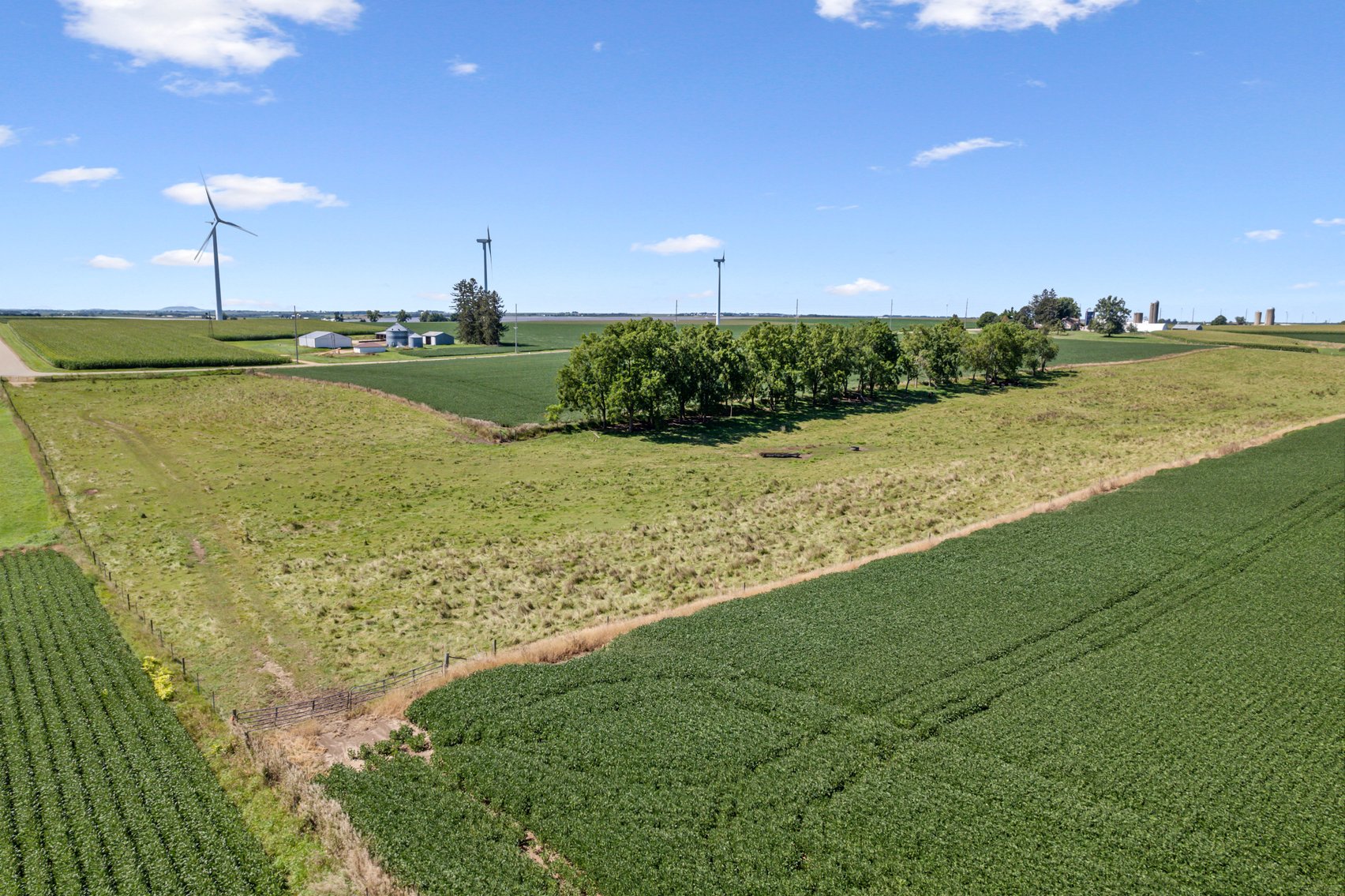 Image for 80 ACRES IN IOWA COUNTY, WI - REAL ESTATE