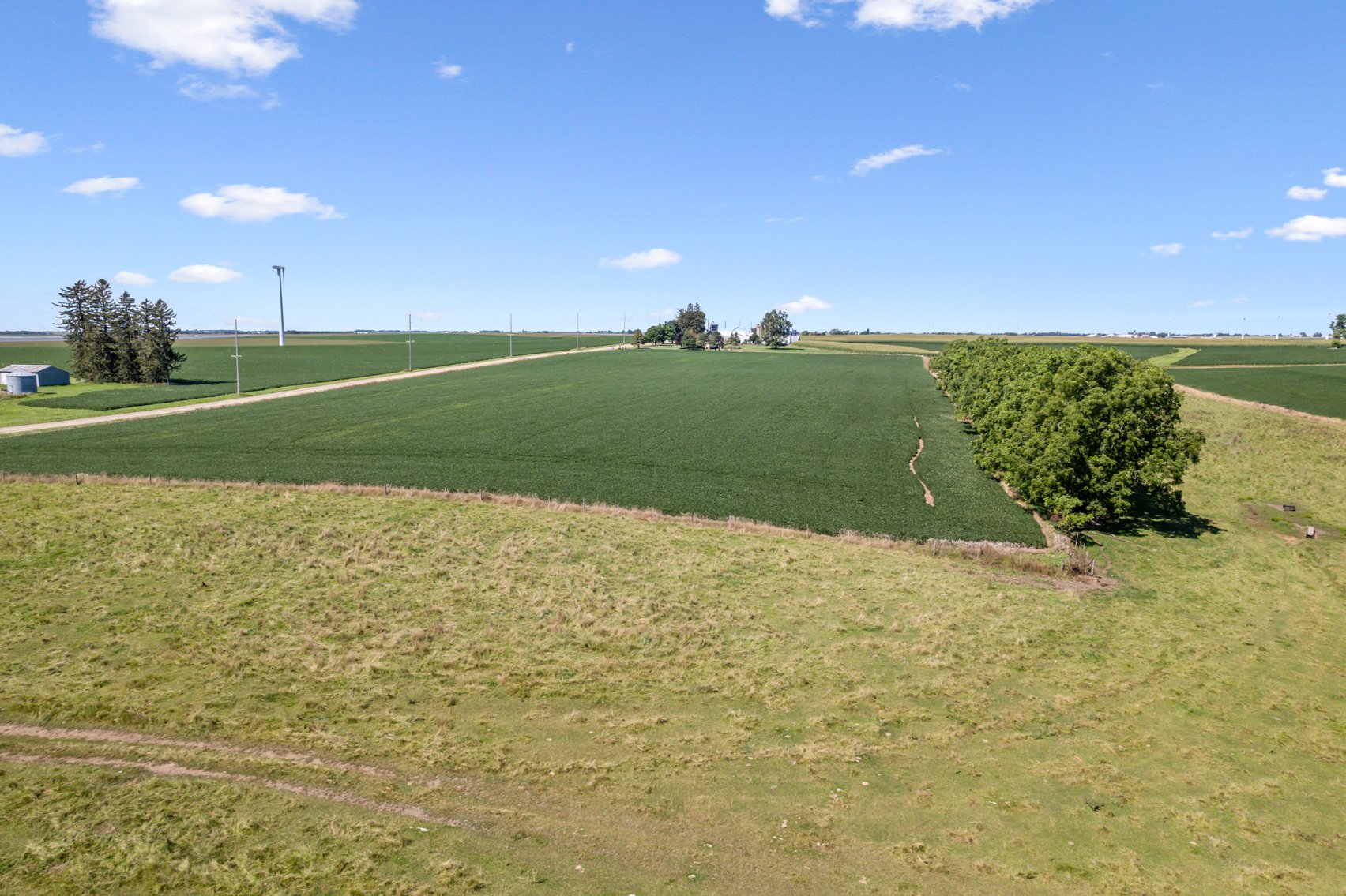 Image for 80 ACRES IN IOWA COUNTY, WI - REAL ESTATE