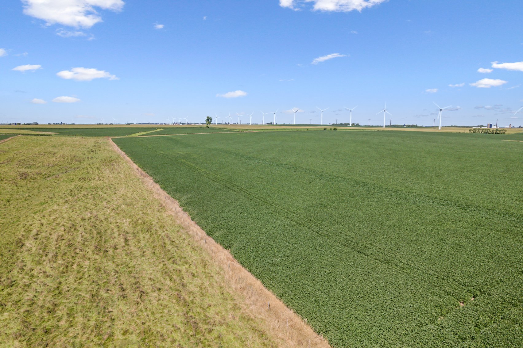 Image for 80 ACRES IN IOWA COUNTY, WI - REAL ESTATE