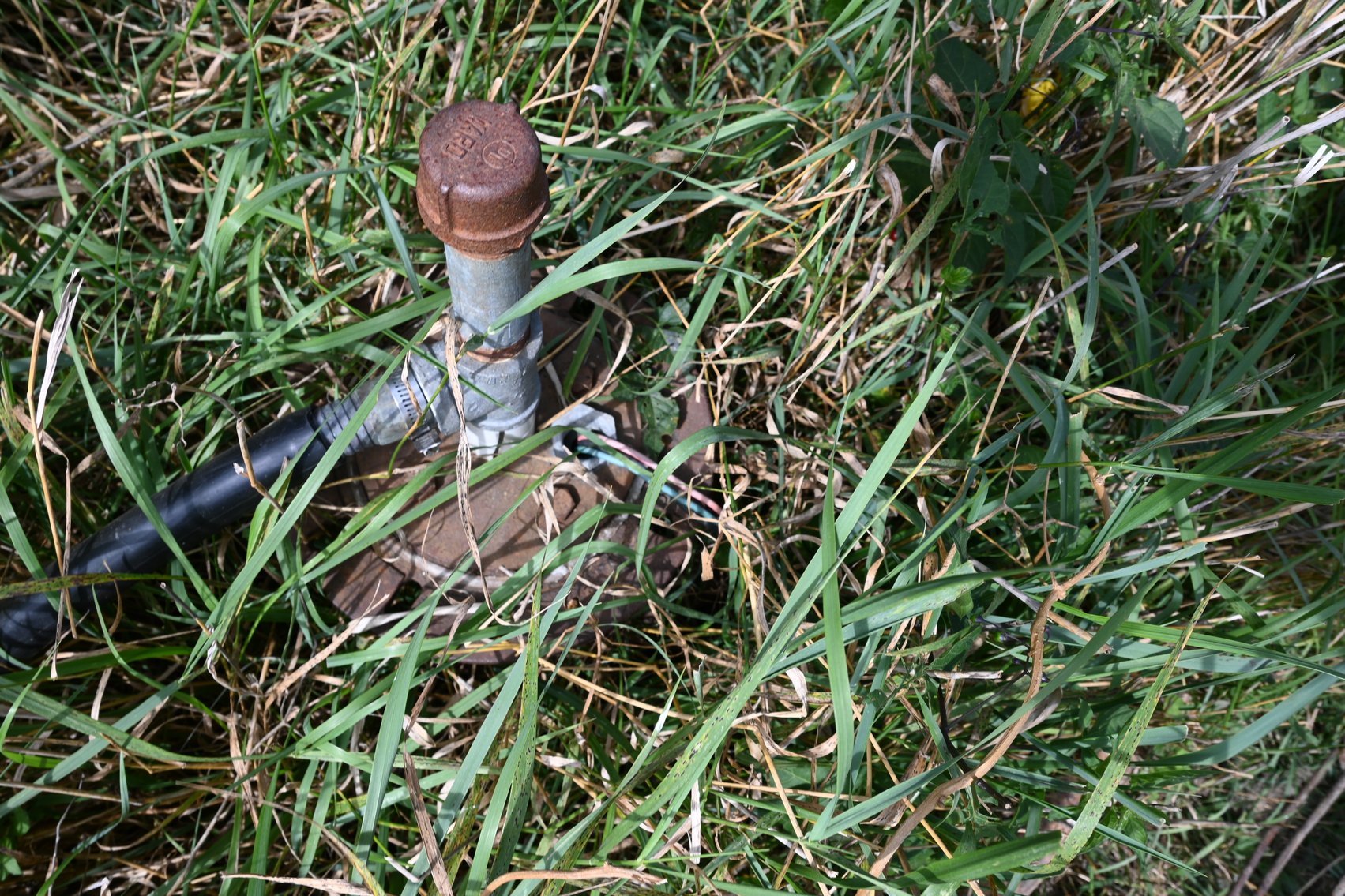 Image for 80 ACRES IN IOWA COUNTY, WI - REAL ESTATE