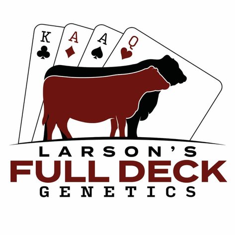 ROYAL FLUSH 2025 BULL & FEMALE SALE - LARSON'S FULL DECK GENETICS - Nelson, WI