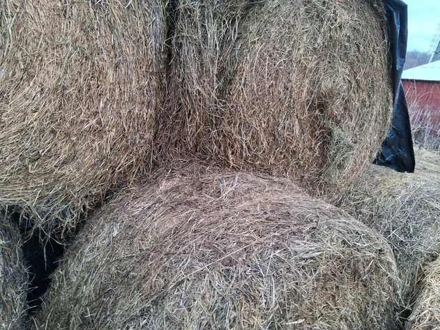 Image for (10) Hay - 2nd Crop, Large Round, 4x5