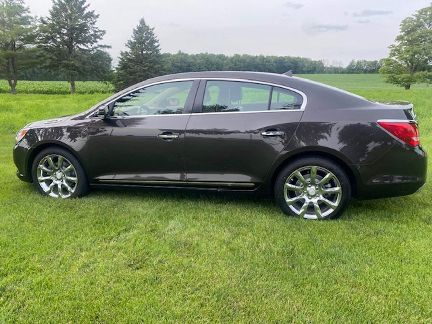 Image for Judith Rendell Moving Sale - Guelph