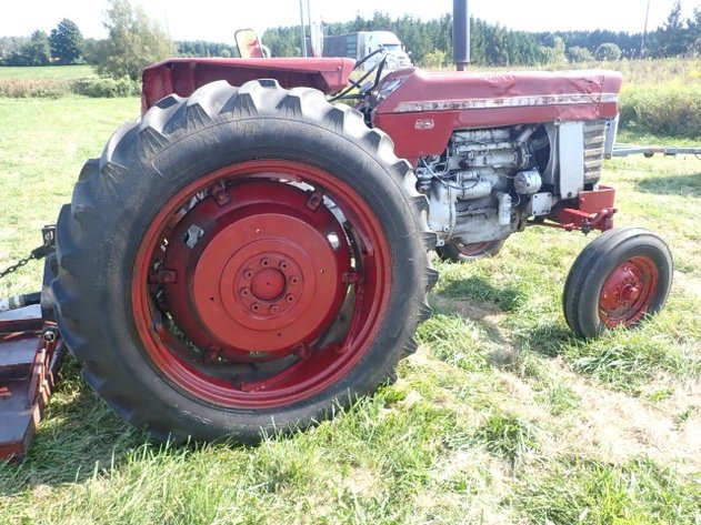 Image for Karn Farm Auction - Fergus