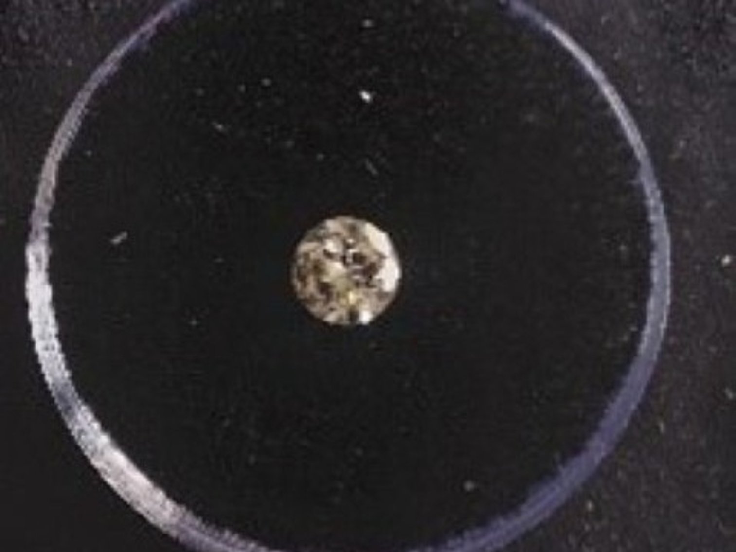 Image for Gems of Distinction Auction - Guelph