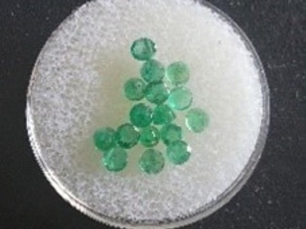 Image for Gems of Distinction Auction - Guelph