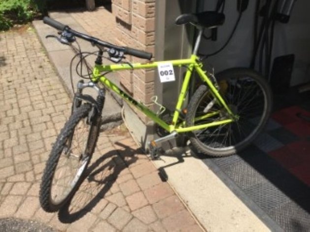 Image for Royal City Lions of Guelph Auction - Guelph