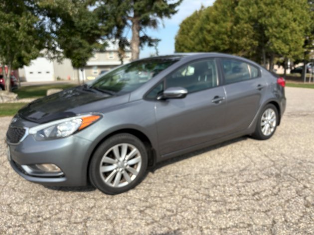 Image for First of Fall Multi Consignor Auction - Guelph