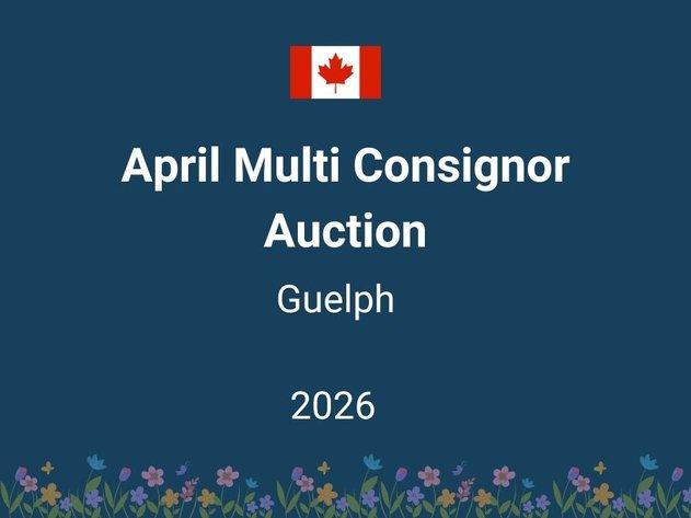 Image for April Multi Consignor Auction - Guelph