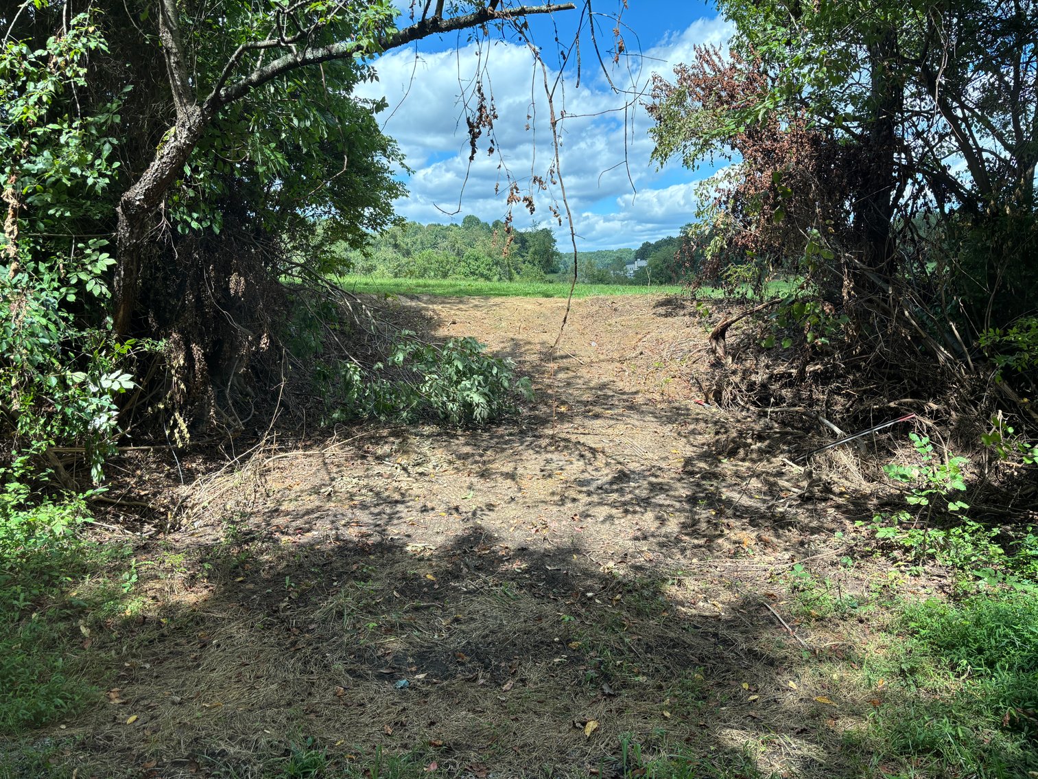 Image for Millsap Auction Sept. 20 @ 10 AM * TBD: Harrison Rd. Abingdon, VA