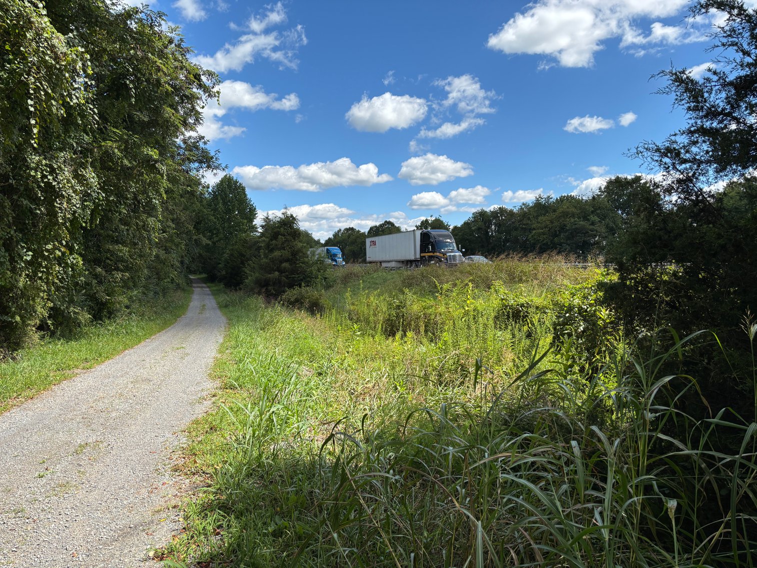 Image for Millsap Auction Sept. 20 @ 10 AM * TBD: Harrison Rd. Abingdon, VA