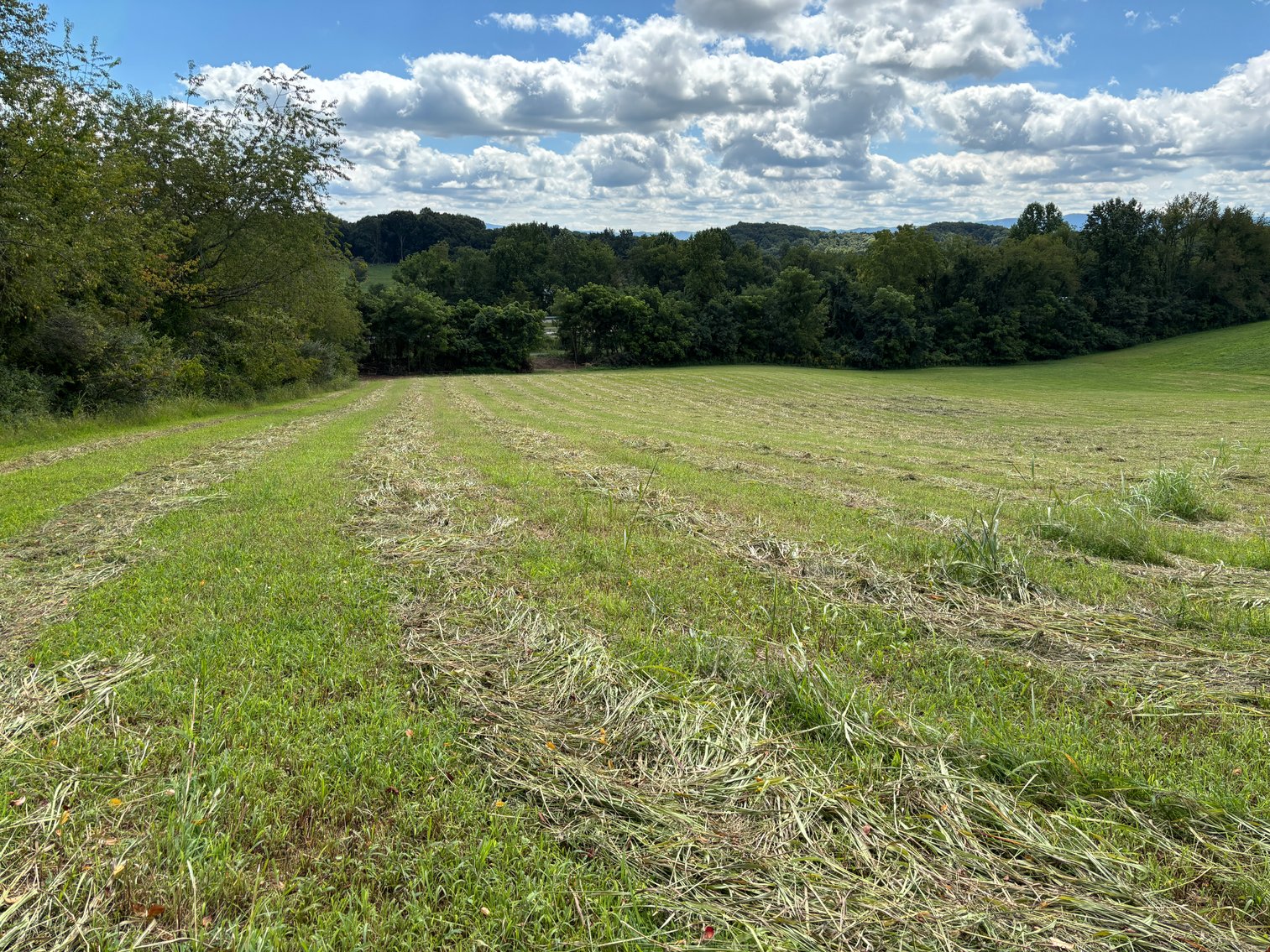 Image for Millsap Auction Sept. 20 @ 10 AM * TBD: Harrison Rd. Abingdon, VA