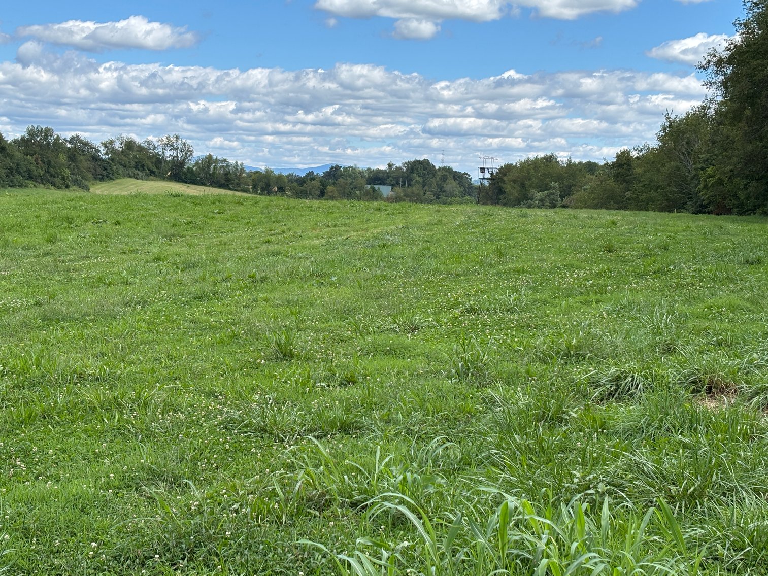 Image for Millsap Auction Sept. 20 @ 10 AM * TBD: Harrison Rd. Abingdon, VA