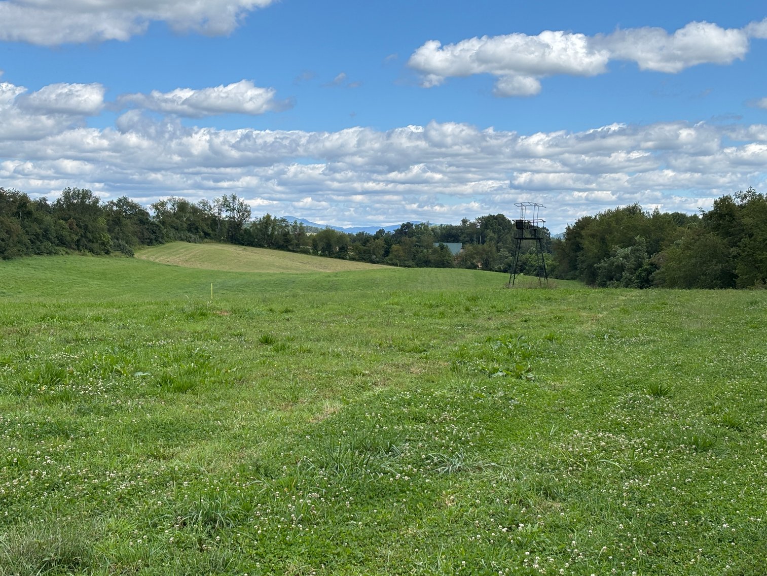 Image for Millsap Auction Sept. 20 @ 10 AM * TBD: Harrison Rd. Abingdon, VA