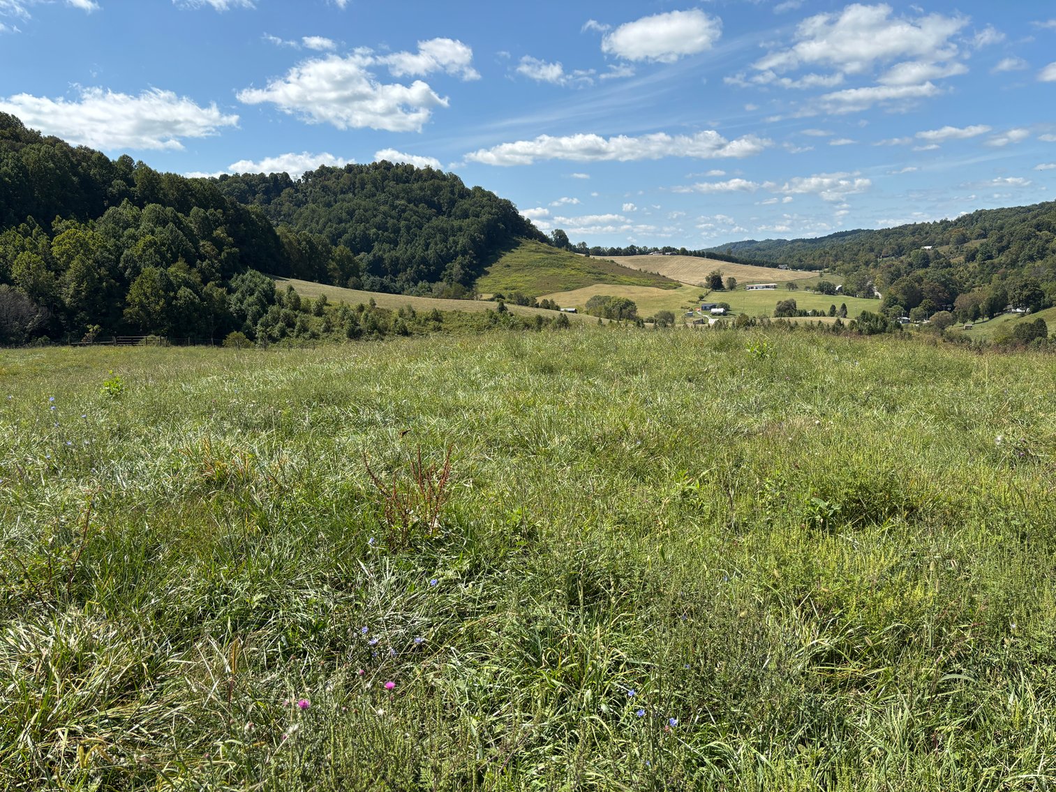 Image for McCroskey Auction Sat. Oct. 25 @ 10 A.M. 15058 Rich Valley Rd. Abingdon, VA. 24210