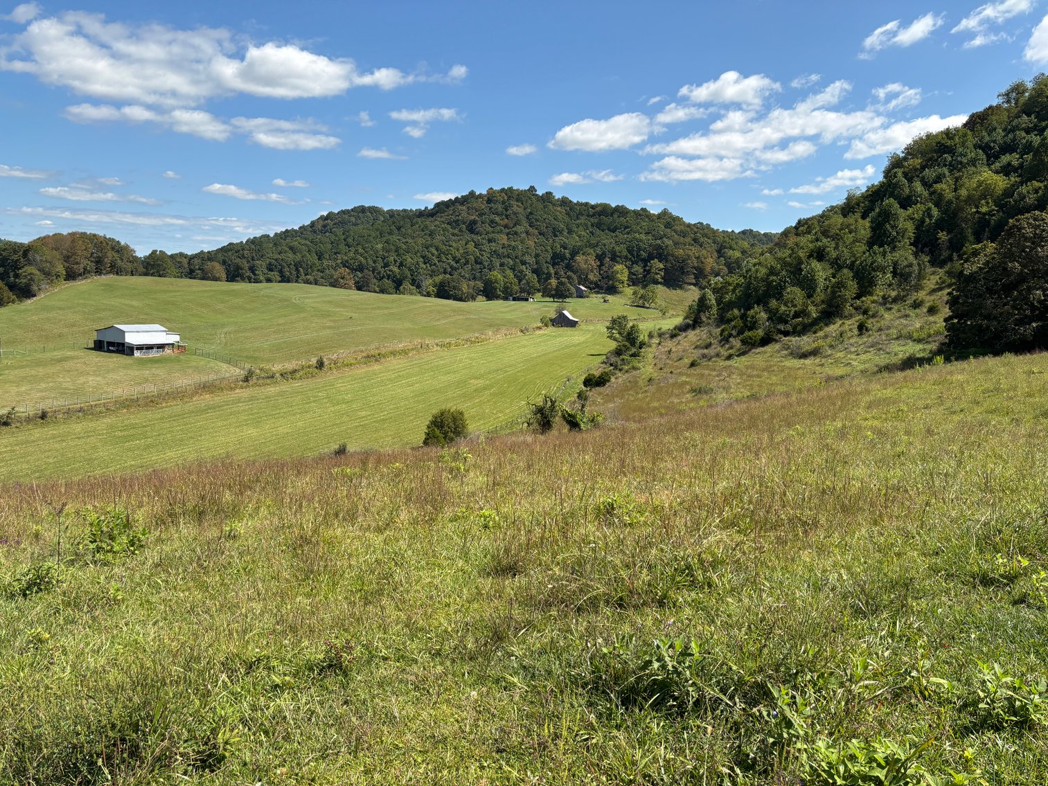 Image for McCroskey Auction Sat. Oct. 25 @ 10 A.M. 15058 Rich Valley Rd. Abingdon, VA. 24210