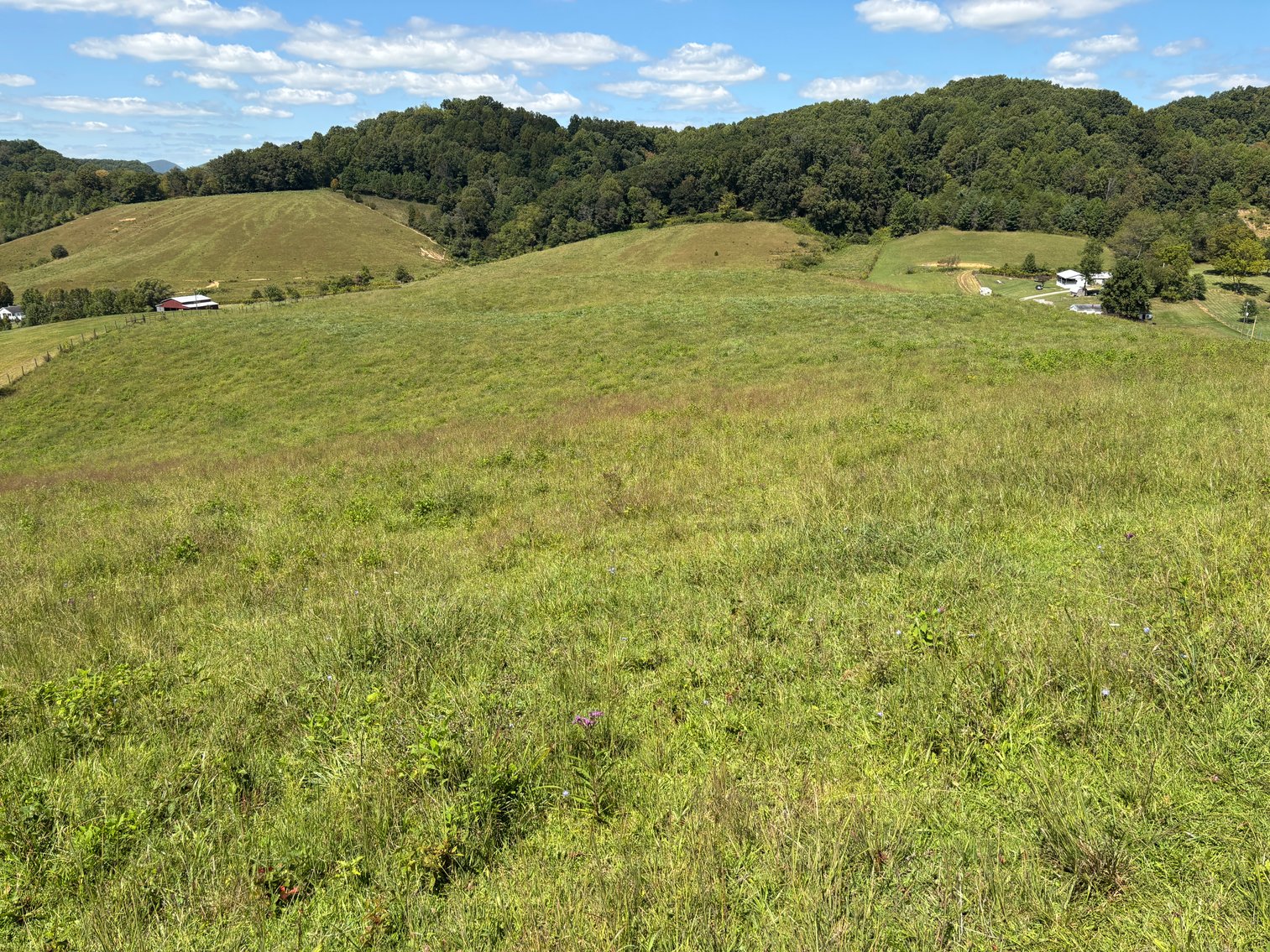 Image for McCroskey Auction Sat. Oct. 25 @ 10 A.M. 15058 Rich Valley Rd. Abingdon, VA. 24210