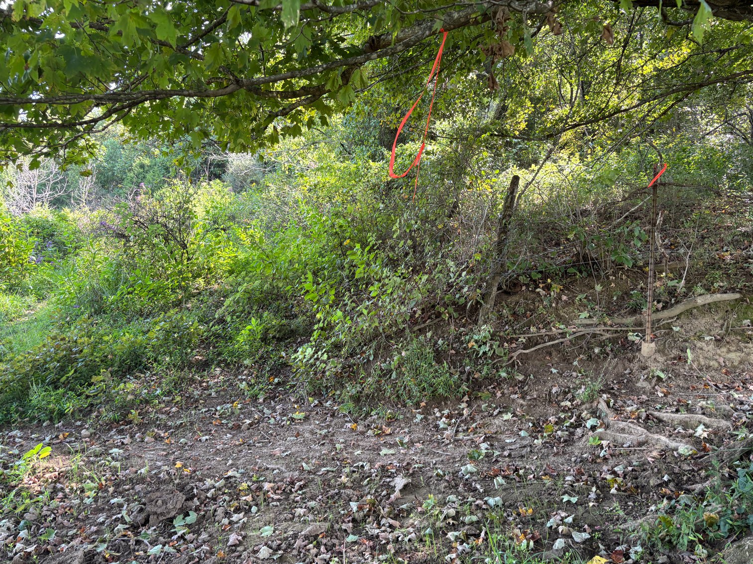 Image for McCroskey Auction Sat. Oct. 25 @ 10 A.M. 15058 Rich Valley Rd. Abingdon, VA. 24210