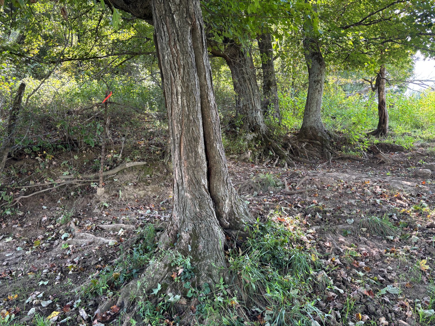 Image for McCroskey Auction Sat. Oct. 25 @ 10 A.M. 15058 Rich Valley Rd. Abingdon, VA. 24210