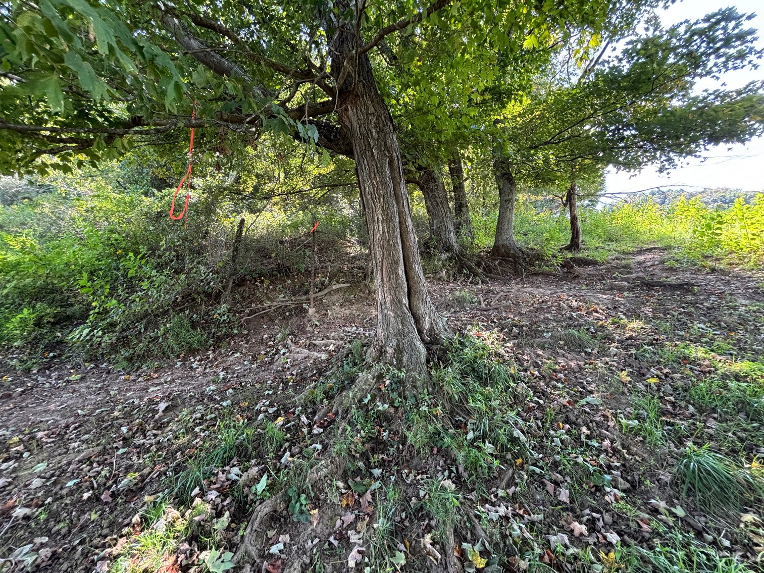 Image for McCroskey Auction Sat. Oct. 25 @ 10 A.M. 15058 Rich Valley Rd. Abingdon, VA. 24210