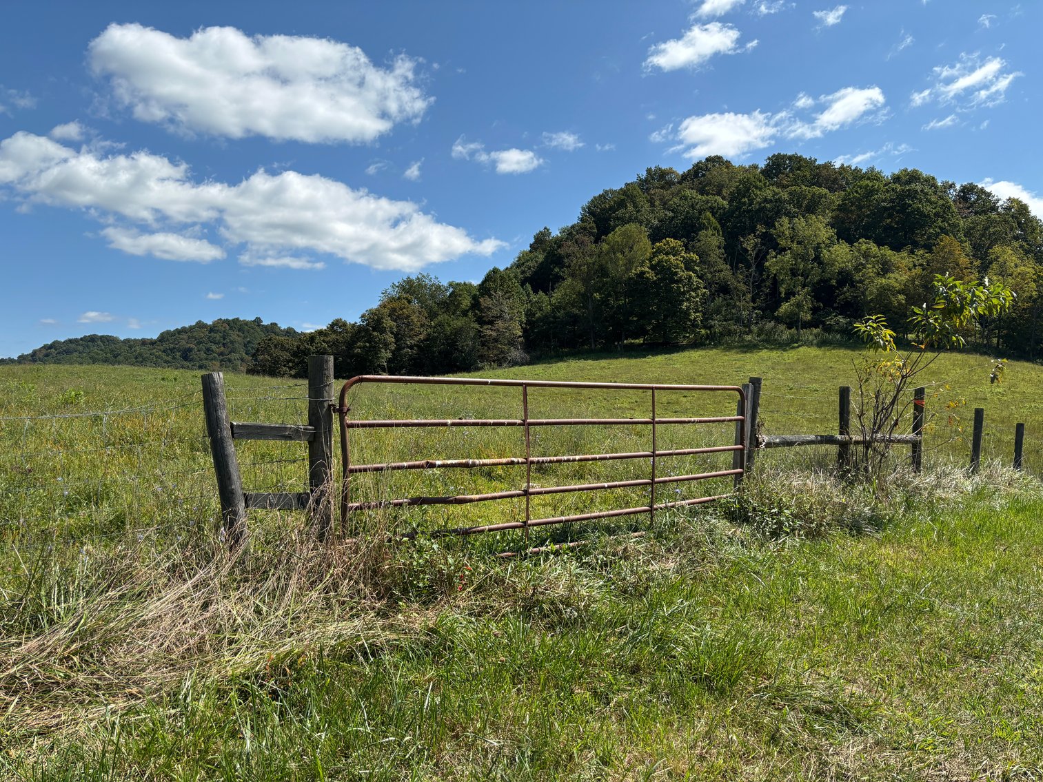 Image for McCroskey Auction Sat. Oct. 25 @ 10 A.M. 15058 Rich Valley Rd. Abingdon, VA. 24210