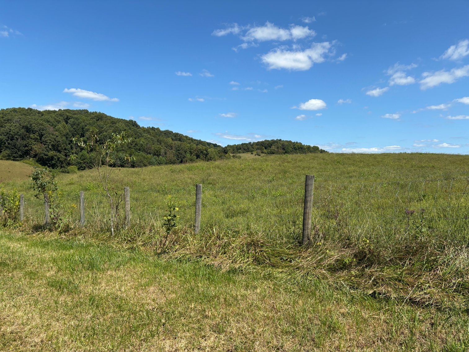 Image for McCroskey Auction Sat. Oct. 25 @ 10 A.M. 15058 Rich Valley Rd. Abingdon, VA. 24210