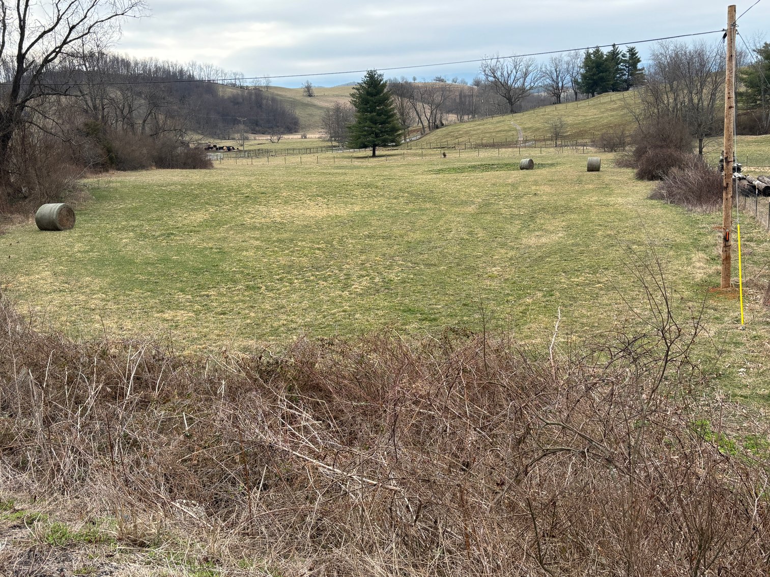 Image for Colleen Redman Auction Sat. April 11 @ 10 AM * EXIT 32 & KILMACHRONAN DR. Glade Spring, VIRGINIA