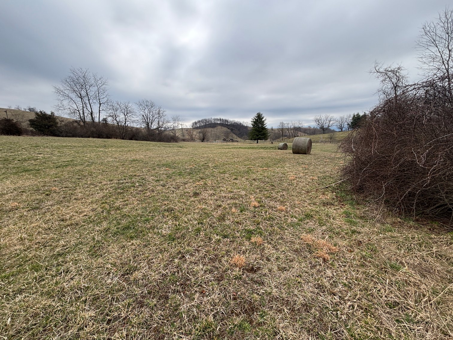 Image for Colleen Redman Auction Sat. April 11 @ 10 AM * EXIT 32 & KILMACHRONAN DR. Glade Spring, VIRGINIA