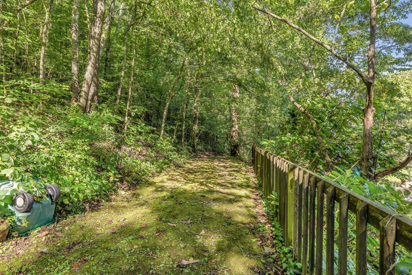 Image for Caney Fork Creek - 22 acres of Amazing Nature + Comfortable Old Log Cabin + Guest House + Shop