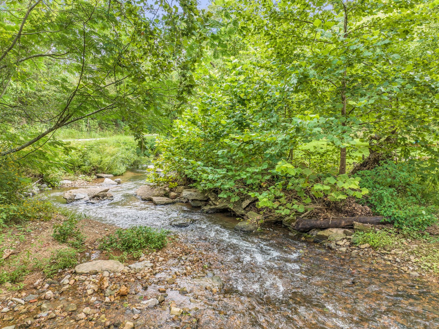 Image for Caney Fork Creek - 22 acres of Amazing Nature + Comfortable Old Log Cabin + Guest House + Shop