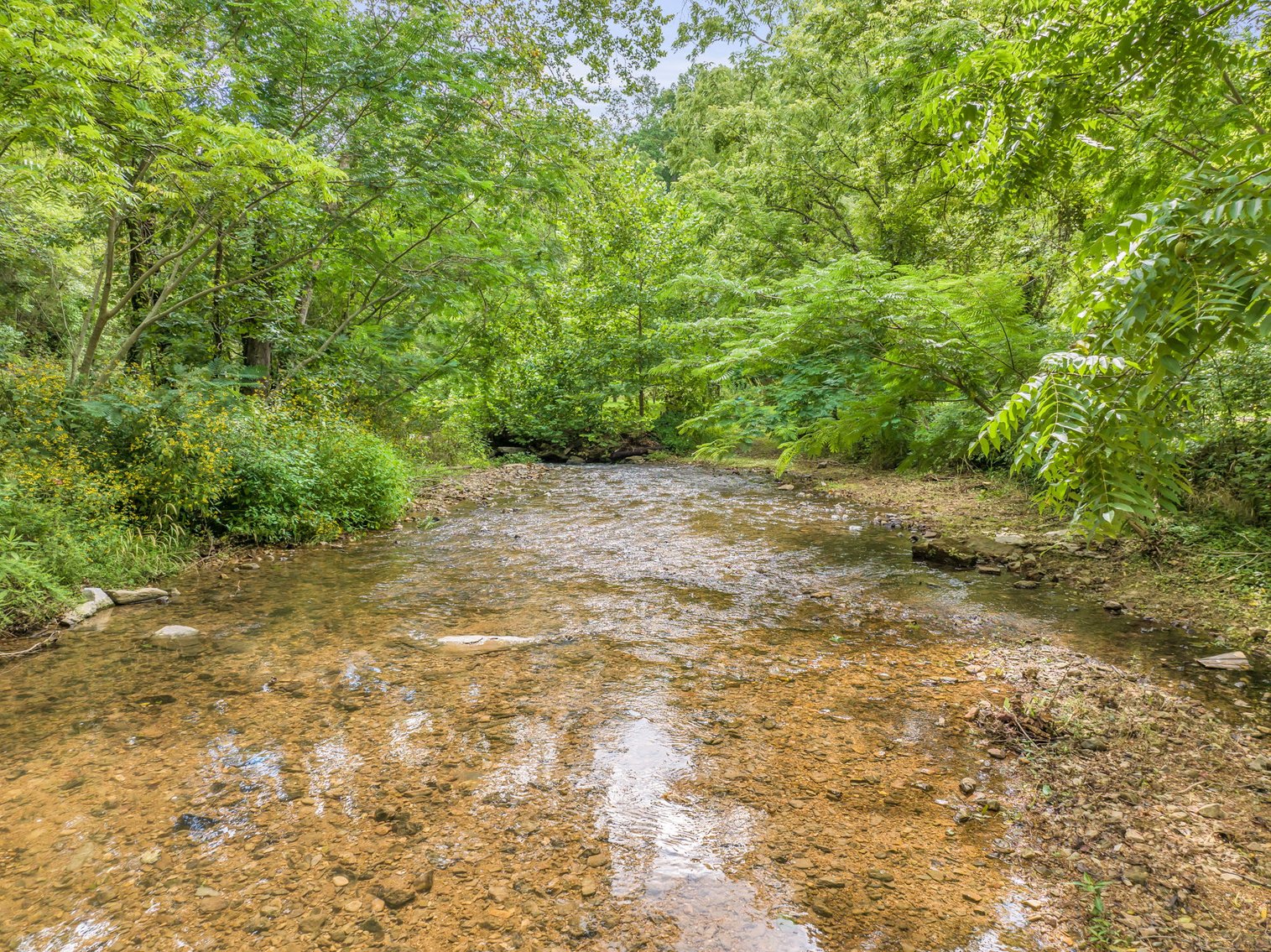 Image for Caney Fork Creek - 22 acres of Amazing Nature + Comfortable Old Log Cabin + Guest House + Shop