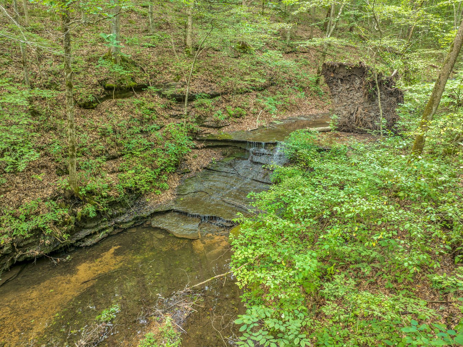 Image for Caney Fork Creek - 22 acres of Amazing Nature + Comfortable Old Log Cabin + Guest House + Shop