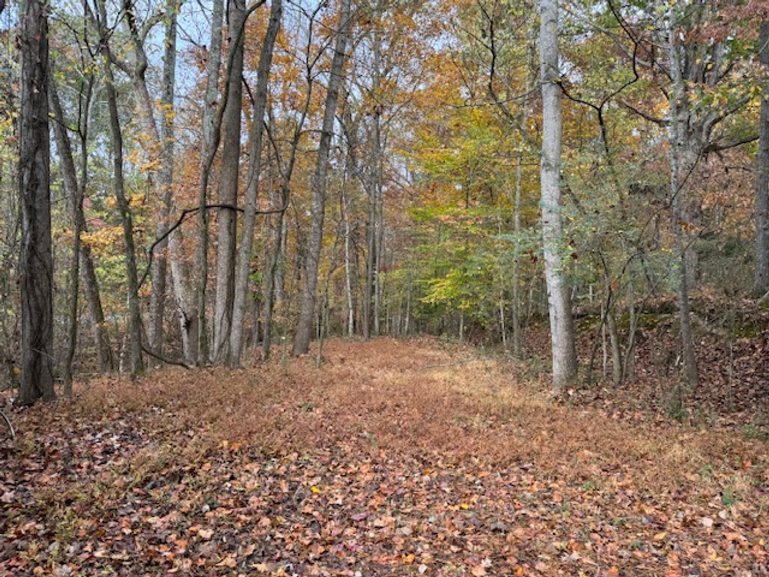 Image for Commercial Space - 8,000+ sq ft - Cabinet Shop near Hwy 100 - Centerville