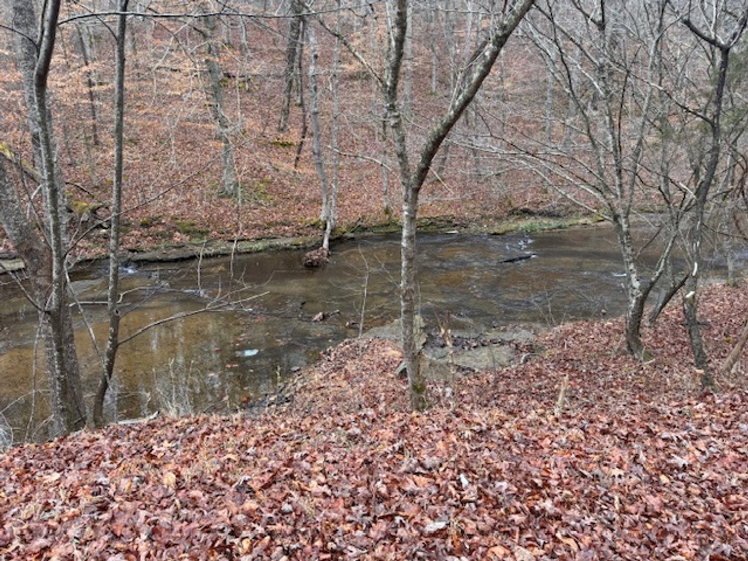 Image for Cottage Retreat - Kingston Springs - Estate Auction