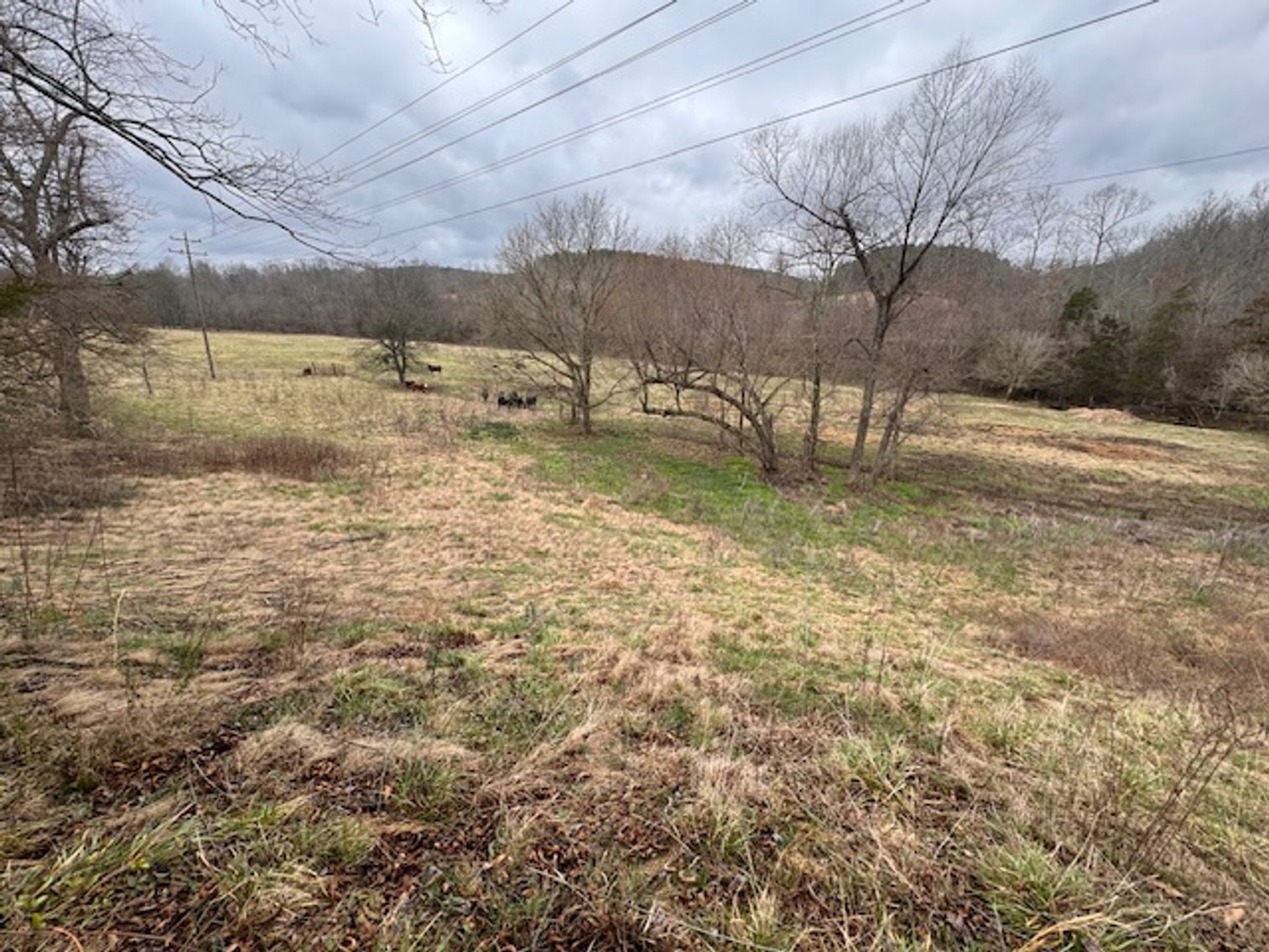 Image for Farm View Lot - 1.2 acre property on Hwy 100 - Ayers Estate