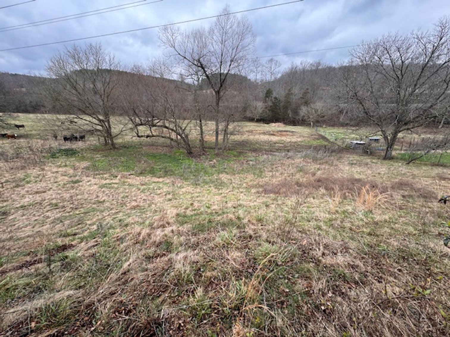 Image for Farm View Lot - 1.2 acre property on Hwy 100 - Ayers Estate