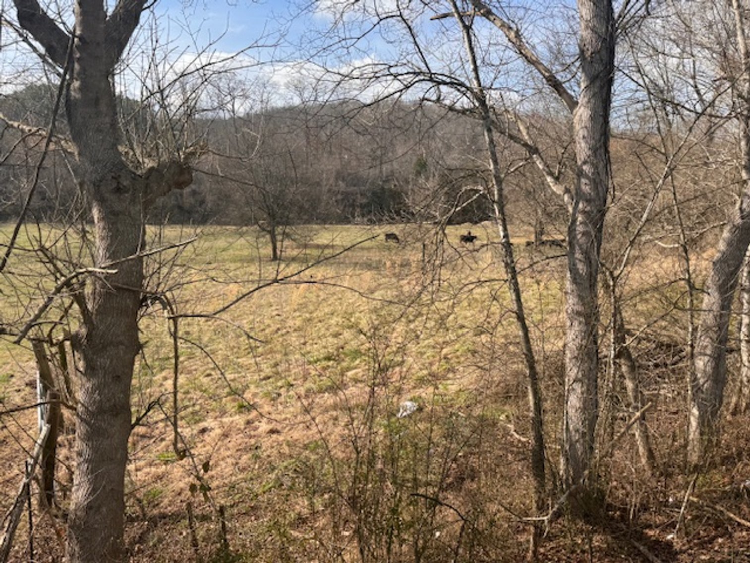 Image for Farm View Lot - 1.2 acre property on Hwy 100 - Ayers Estate