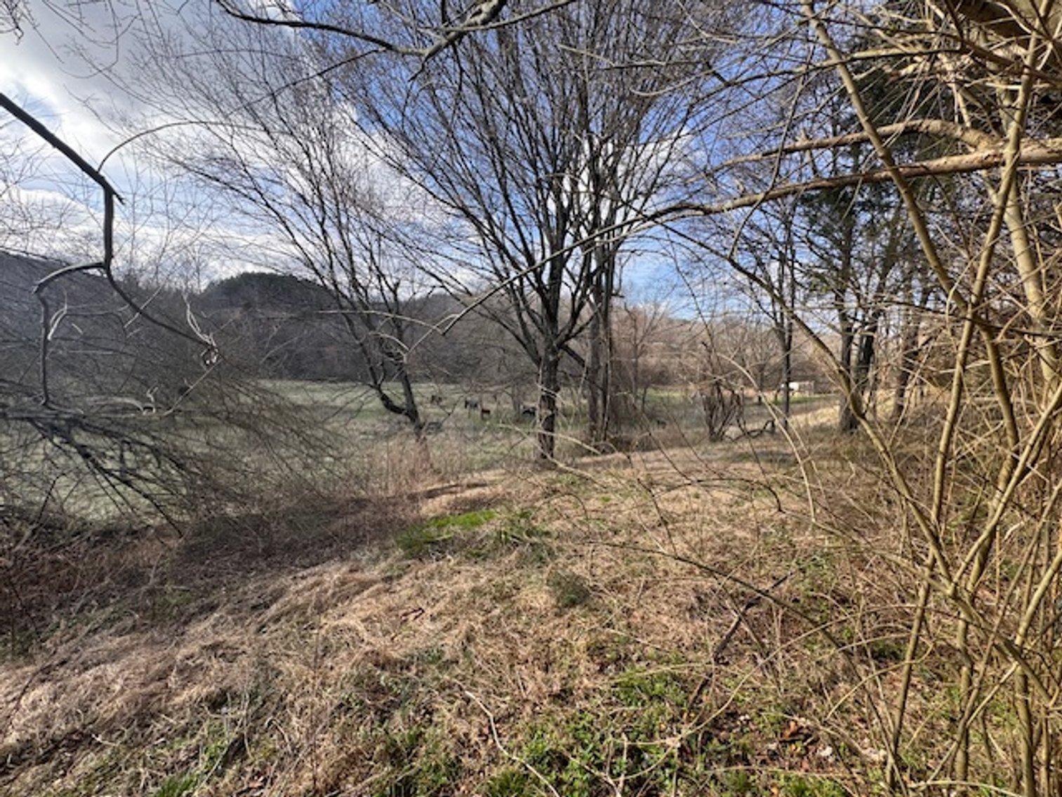 Image for Farm View Lot - 1.2 acre property on Hwy 100 - Ayers Estate