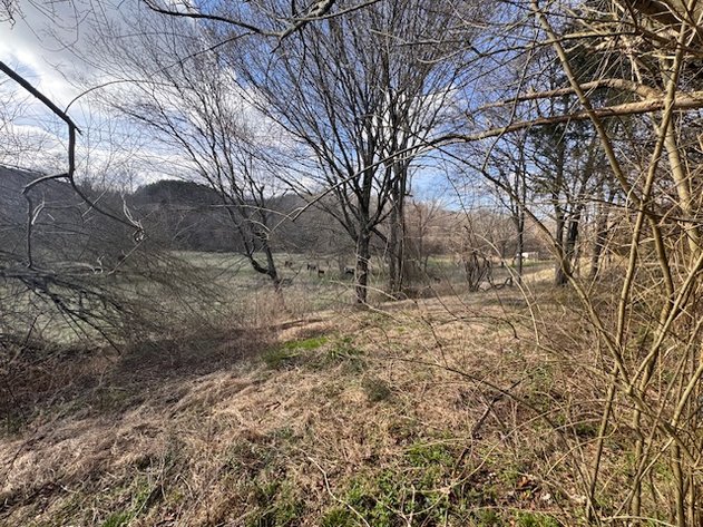 Image for Farm View Lot - 1.2 acre property on Hwy 100 - Ayers Estate